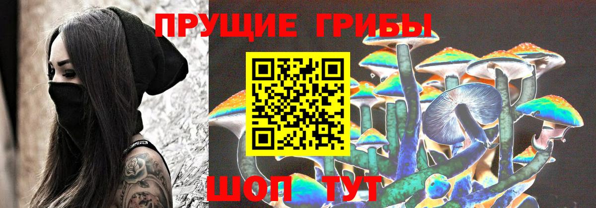 Псилоцибиновые грибы Psilocybine cubensis Людиново