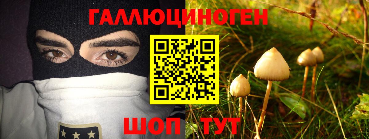 Псилоцибиновые грибы Magic Shrooms  Вход с VPN  купить наркотик  Людиново 
