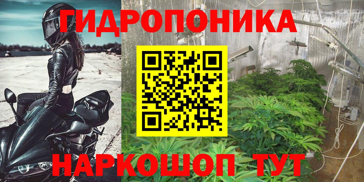 Конопля марихуана Людиново